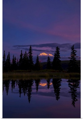 Tall Trees Reflected In A Pond With Mt. Mckinley In The Distance