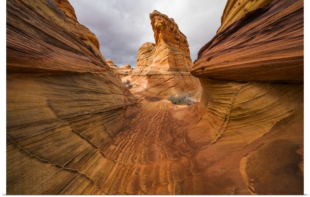 The amazing sandstone and rock formations of South Coyote Butte; Arizona, United States of America