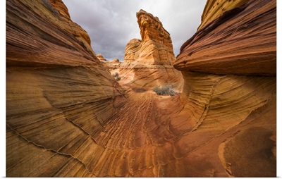 The Amazing Sandstone And Rock Formations Of South Coyote Butte, Arizona