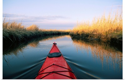 The bow of a kayak points the way in a Chesapeake Bay salt marsh.; Blackwater National Wildlife Reserve, Maryland.