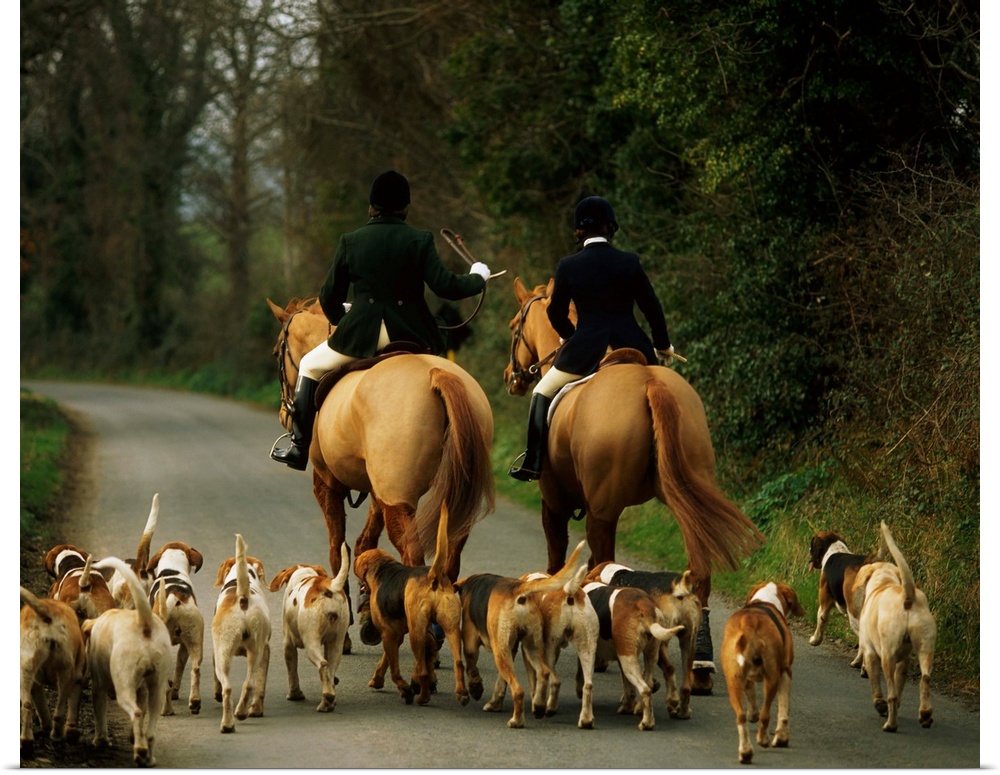 The Bray Harriers, County Wicklow, Ireland