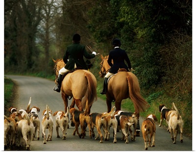 The Bray Harriers, County Wicklow, Ireland