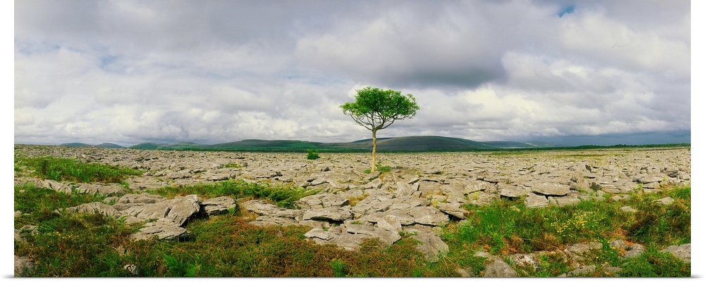 The Burren, Co Clare, Ireland; Karst-Landscape Region Near Kinvara