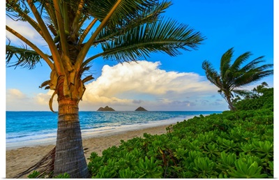 The Golden Sand And Surf On Lanikai Beach With A View Of Mokulua Islands, Oahu, Hawaii