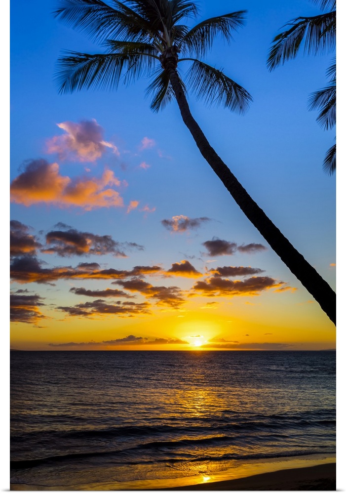 The sun setting through silhouetted palm trees; Wailea, Maui, Hawaii, United States of America