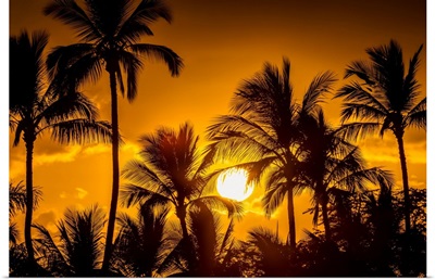 The Sun Setting Through Silhouetted Palm Trees, Wailea, Maui, Hawaii, USA