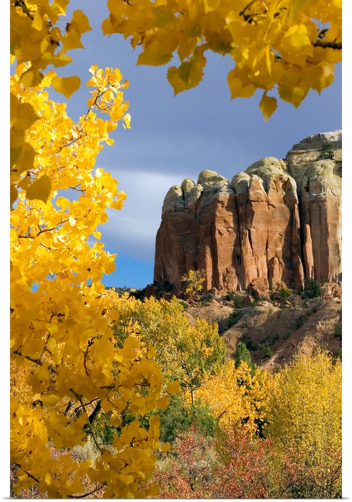 Portrait photograph from the National Geographic Collection of golden leaves in the foreground, surrounding a large rock f...