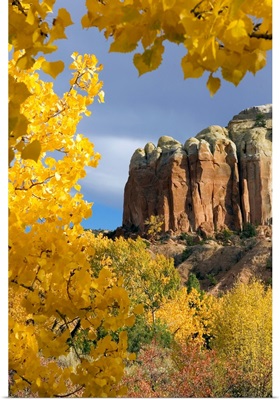 The yellow leaves of fall frame a rock formation.