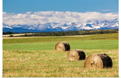 Three hay bales in a field with mountains, Alberta, Canada.