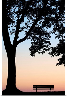 Tree And Bench Silhouette, Niagara-On-The-Lake, Ontario, Canada