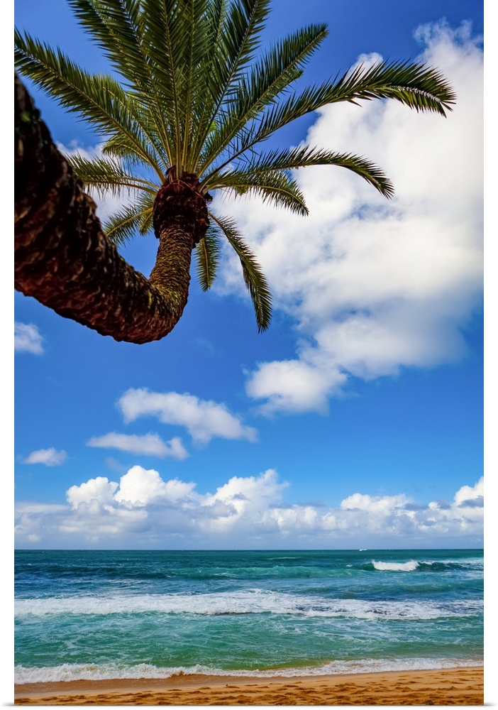 Tropical views of the Pacific Ocean from Waikiki Beach; Honolulu, Oahu, Hawaii, United States of America