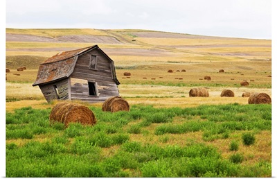 Twisted Barn On Canadian Prairie, Big Muddy Badlands, Saskatchewan, Canada