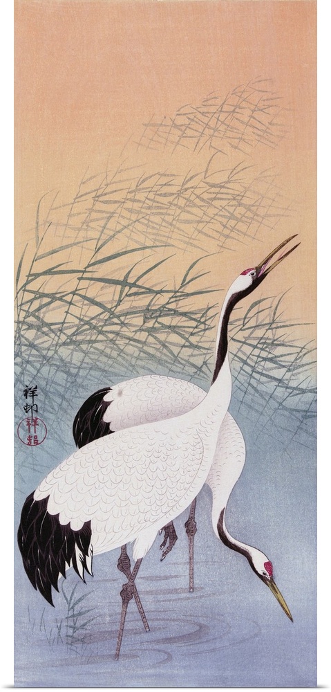 Two Cranes, a colour woodcut by Japanese artist Ohara Koson, 1877 - 1945.