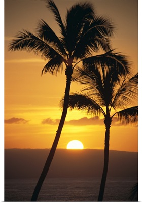 Two Palm Trees Silhouetted At Sunset With Fiery Orange Sun