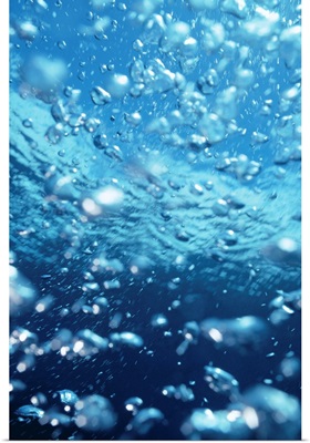 Underwater View Of Air Bubbles Near Surface