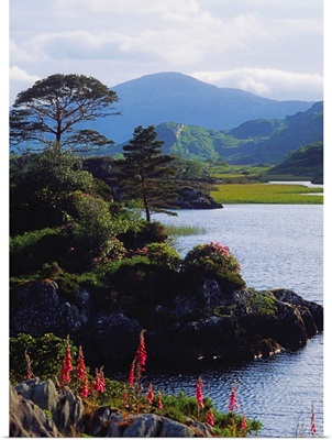 Upper Lake, Killarney, Co Kerry, Ireland; Lake With Mountain In The Distance