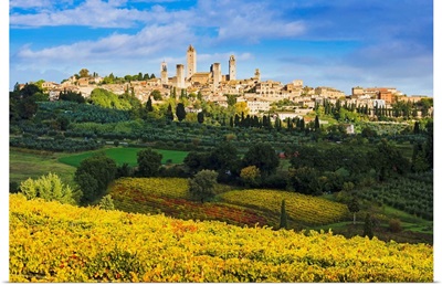Vineyards and San Gimignano, Tuscany, Italy