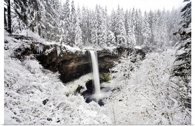 Waterfall In A Snowy Landscape With Frosted Foliage And Snow-Covered Forest