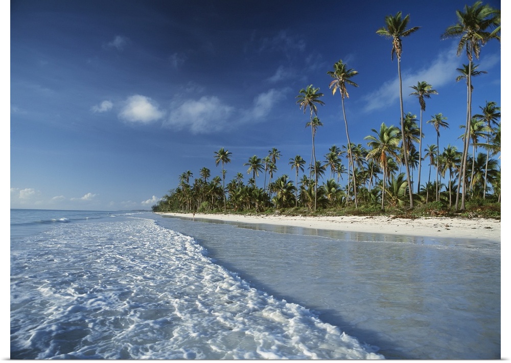 Waves Lapping Shore Of Beach With Palm Trees Behind; Tanzania