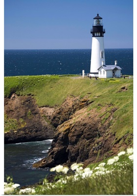 White Lighthouse On The Ocean With Wildflowers; Newport, Oregon, USA
