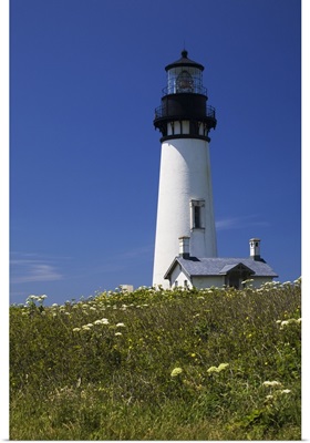 White Lighthouse With A Blue Sky And Wildflowers; Newport, Oregon, USA