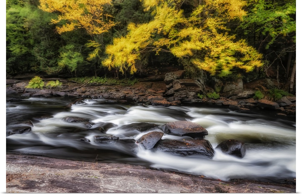 Long exposure of wind blowing leaves in the trees over top of the Oxtongue River; Ontario, Canada.