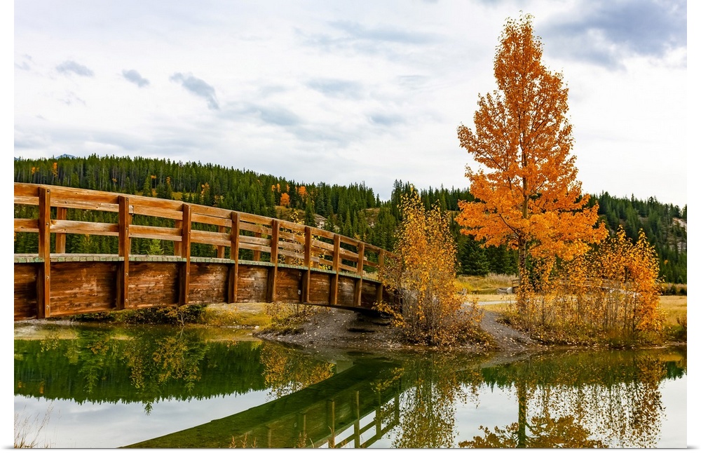 Wooden footbridge over a tranquil pond in autumn, Banff National Park; Banff, Alberta, Canada