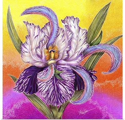 The Paisley Iris