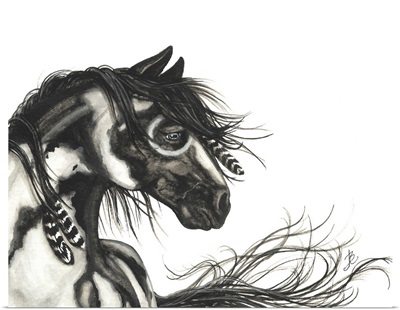 Black White Pinto - Majestic Horse