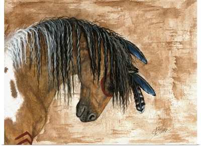 Pinto Curly Horse