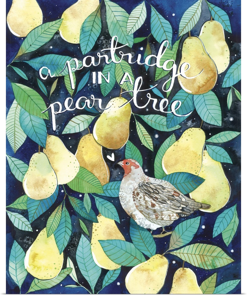 Beautiful watercolor painting of a Partridge bird sitting amongst ripe yellow pears and green leaves. The line from the 'T...