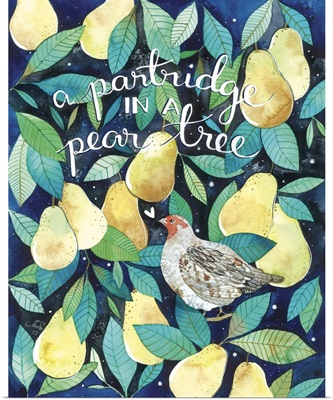 The Twelve Days of Christmas - A Partridge in a Pear Tree