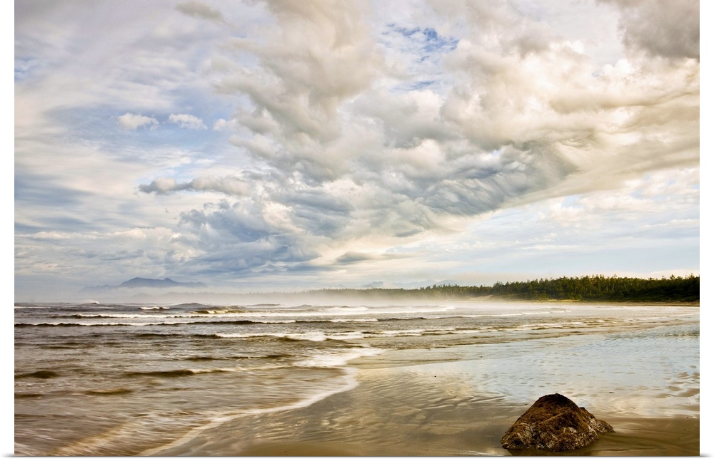 Oversized, horizontal, fine art photograph of the shoreline on a beach, beneath a sky of fluffy cotton clouds, a tree line...