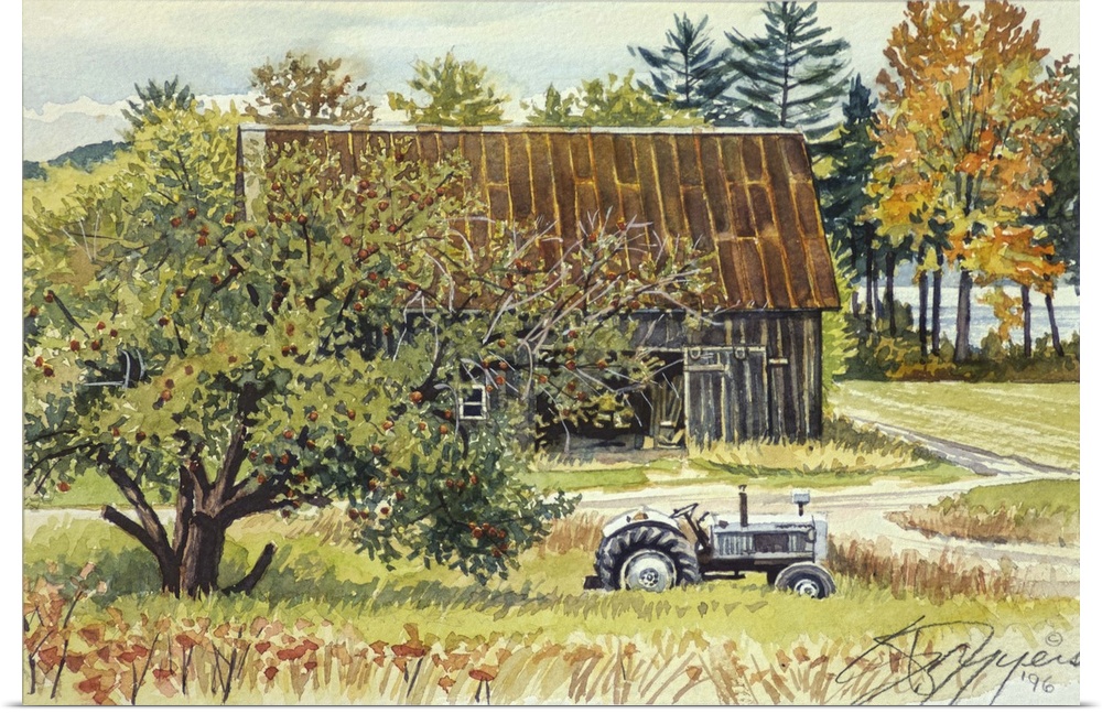 Apple Tree, Barn and Tractor