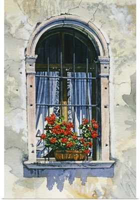 Arched Window with Geraniums - Vincenza