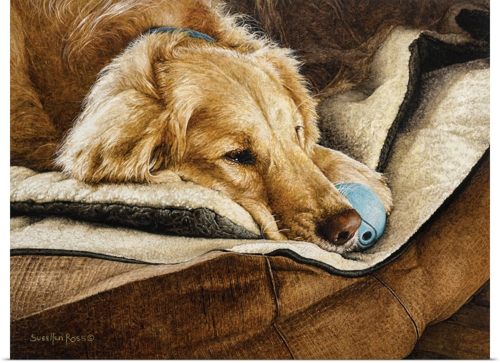 A yellow Labrador laying on a couch with a blue ball.