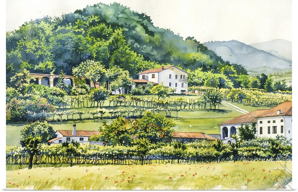 Farm Houses with Vineyards - Veneto