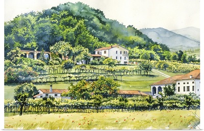 Farm Houses with Vineyards - Veneto