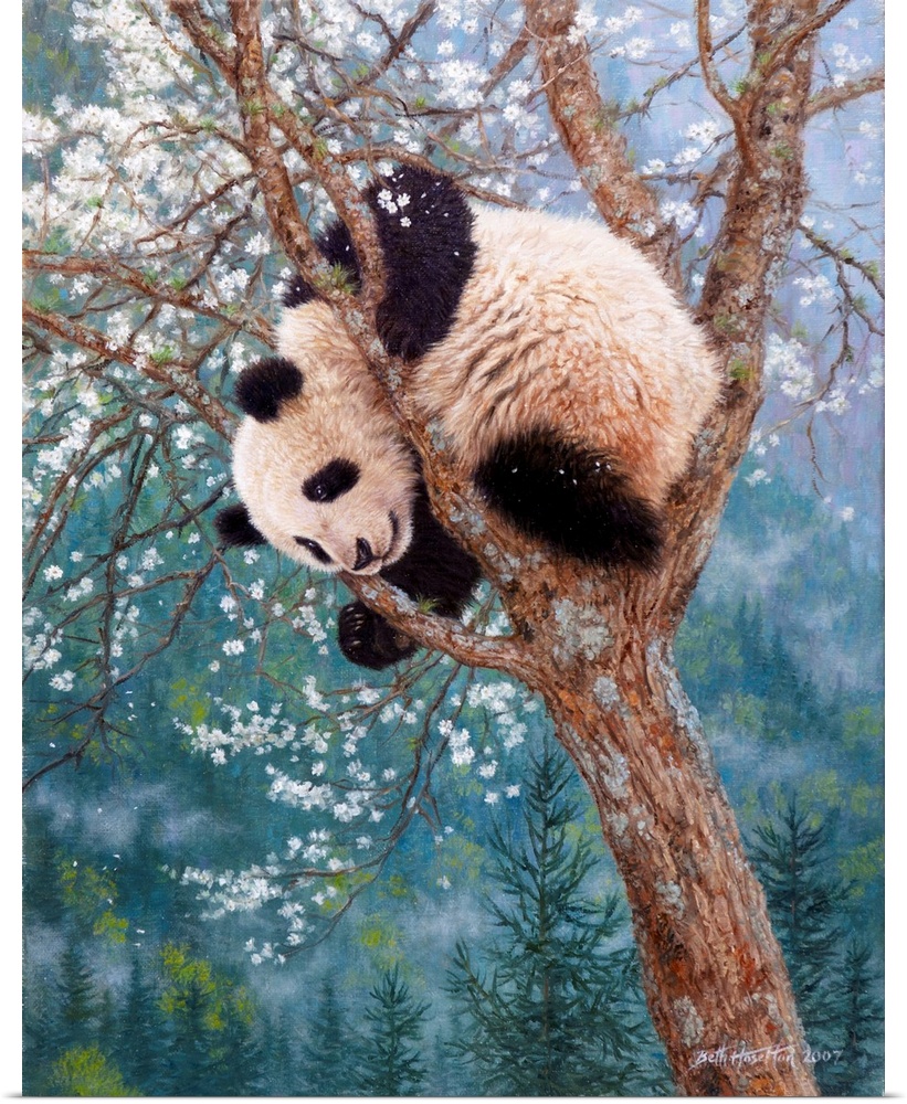 Golden Child - Giant Panda Cub