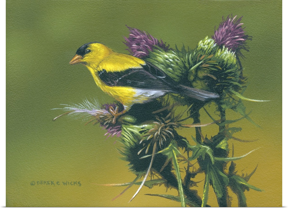 Goldfinch and Thistle