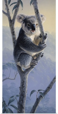 Koala Bear In Tree