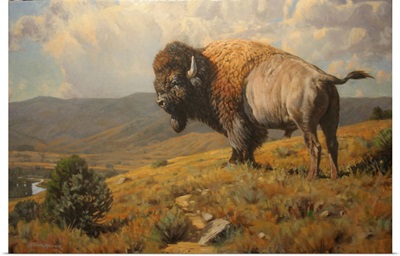 Lonesome - Bison