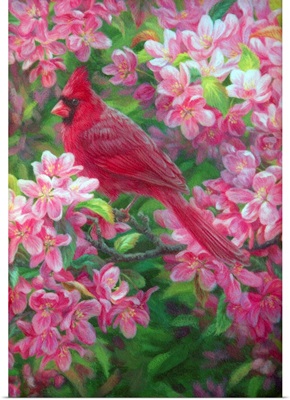 Love In Bloom - Cardinals And Crabapple Detail Male