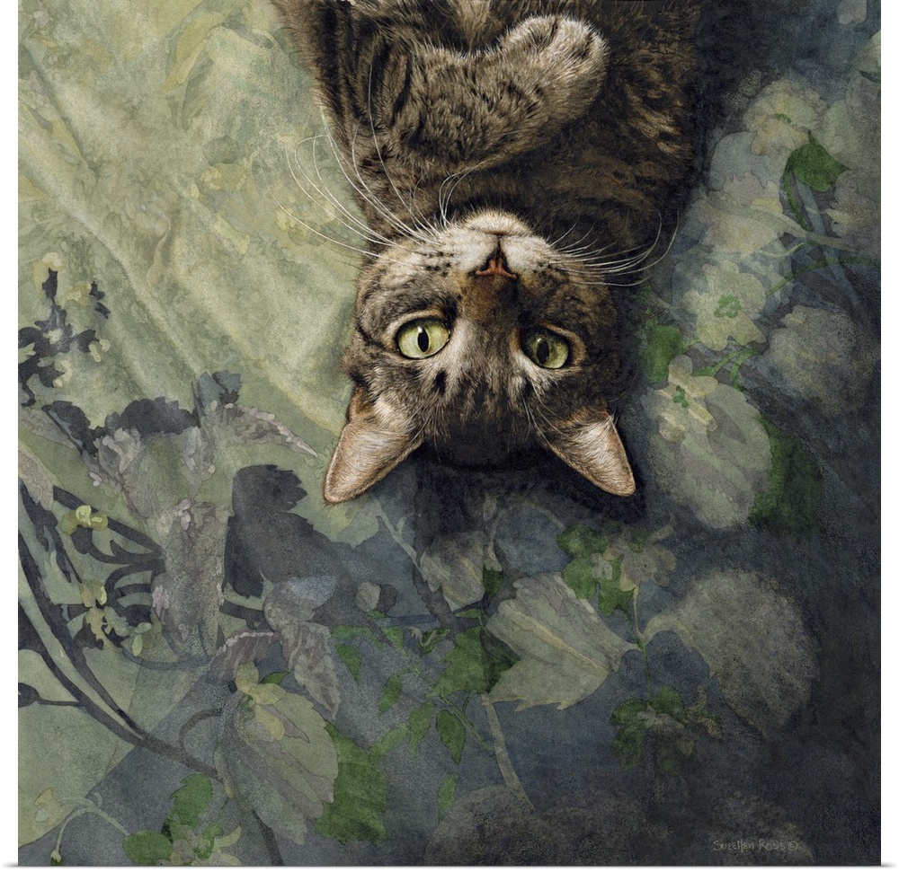 A square image of a tabby cat laying on her back against a floral blanket.
