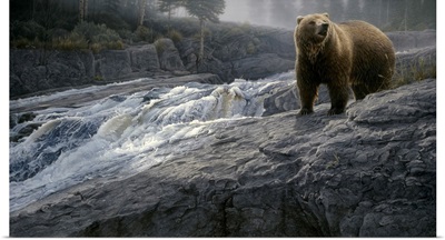 Rocky Cascade - Grizzly