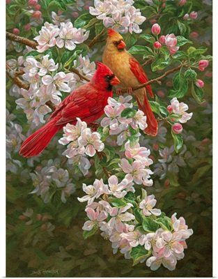 Spring Romance - Cardinals