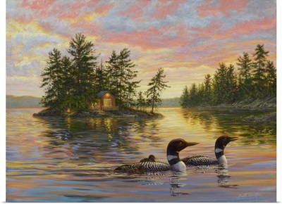 Tranquil Evening - Loons