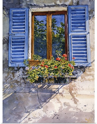 Window with Blue Shutters