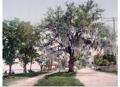 Along the Bay Bay St. Louis Mississippi Vintage Photograph