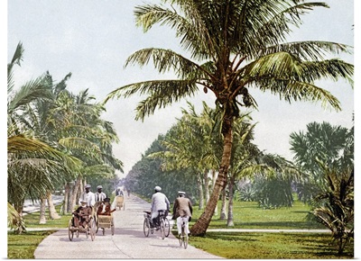 Bicycle Avenue Palm Beach Florida Vintage Photograph